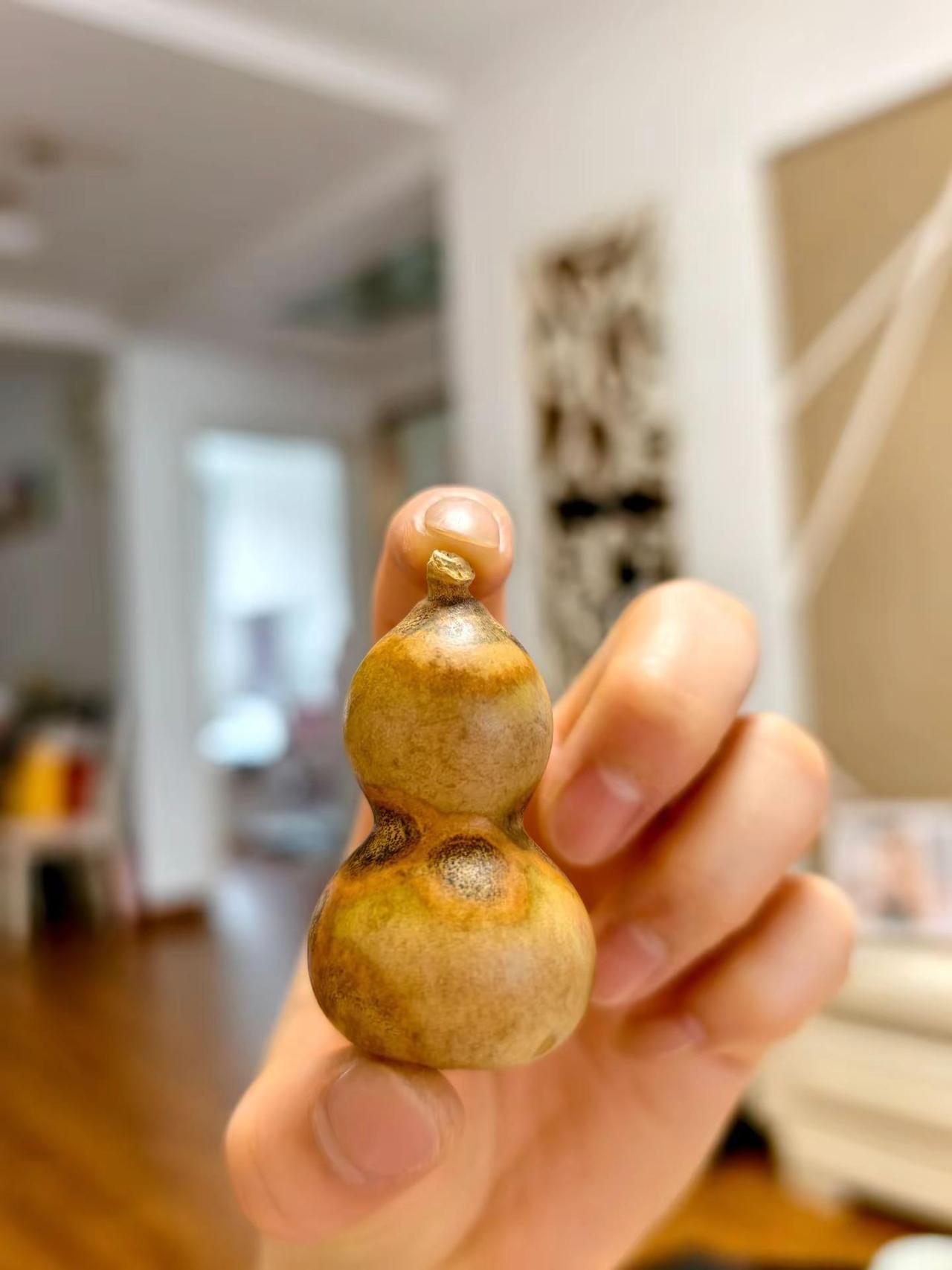 我的波西米亚风小葫芦