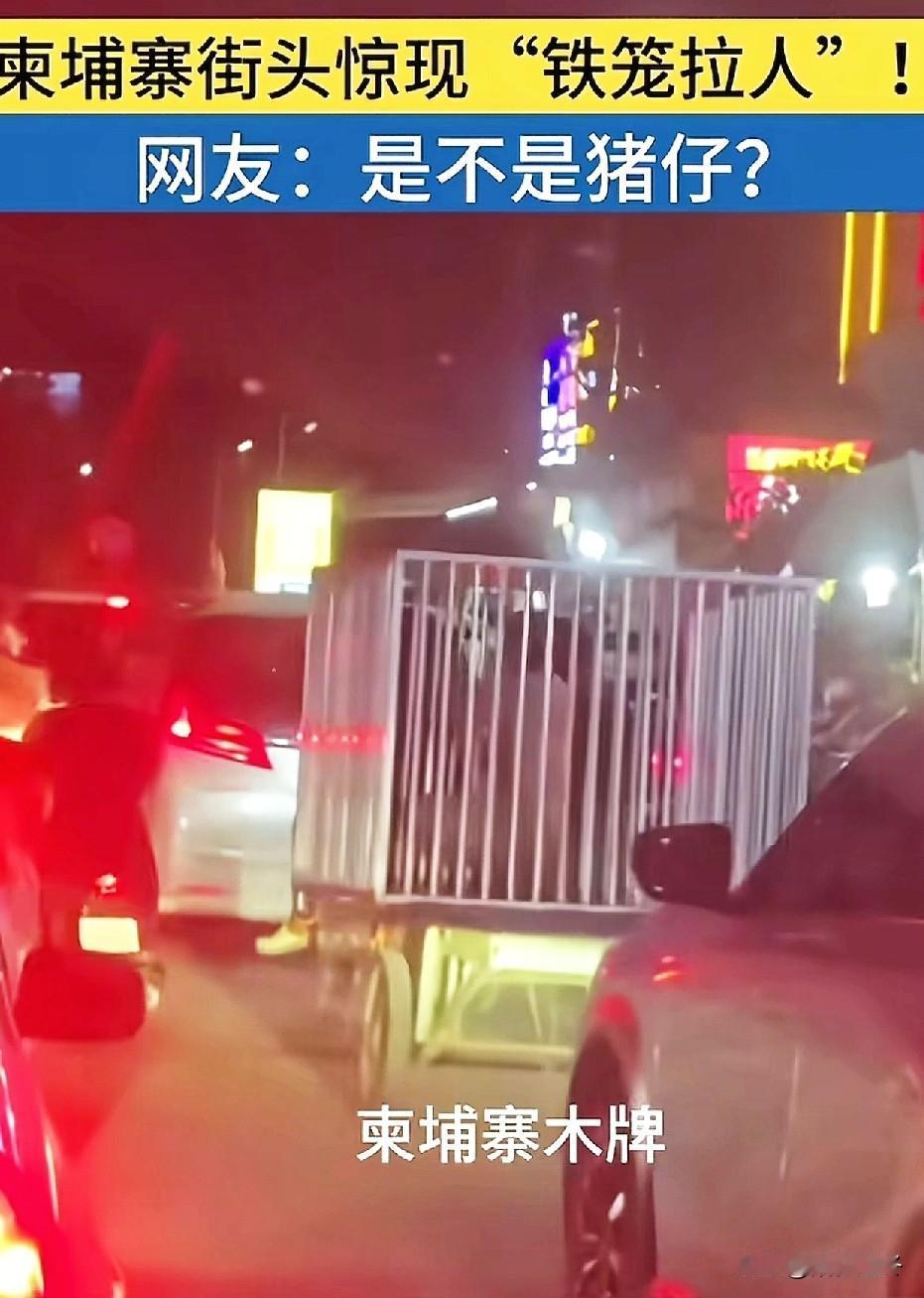 柬埔寨街头惊现“狗笼拉人”！😯太可怜啦，震碎三观呀！柬埔寨电诈还没打完吗