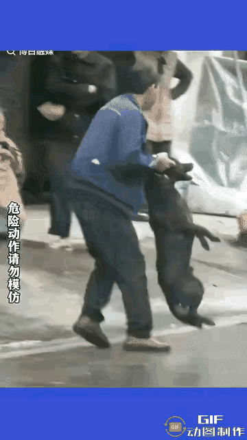 男子这样打狗对吗？大衔上，一条大狗咬了男子，男子二话不说，上去抓住狗的耳朵往地