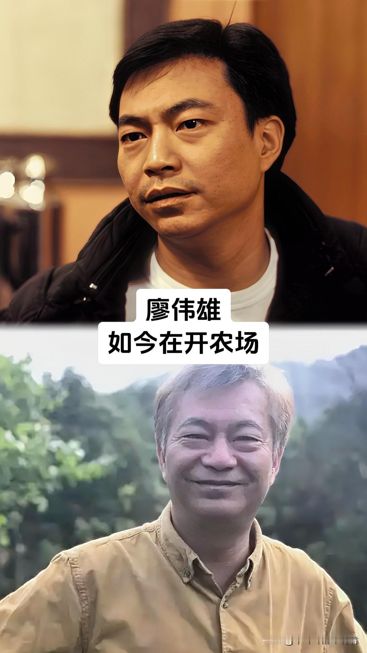 演过TVB版《西游记》唐僧的江华卖过保险，演《鉴证实录》聂宝言的陈慧珊拿下教育学