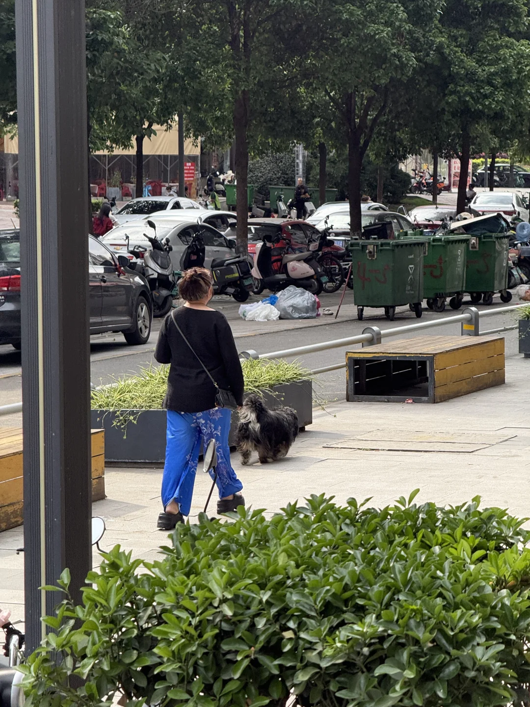 最没素质的养狗老太婆