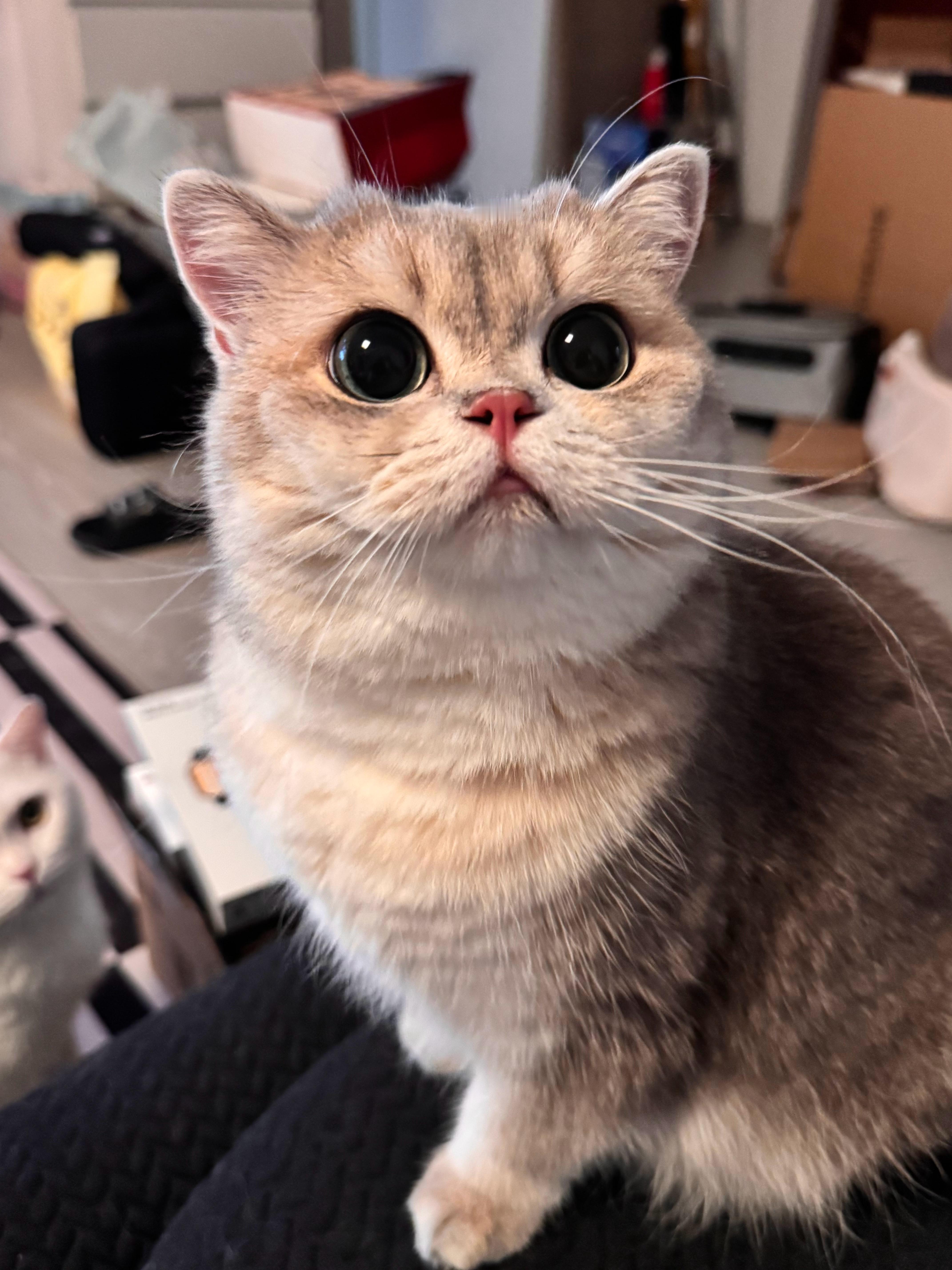 给你们看漂亮林妹妹，请夸！