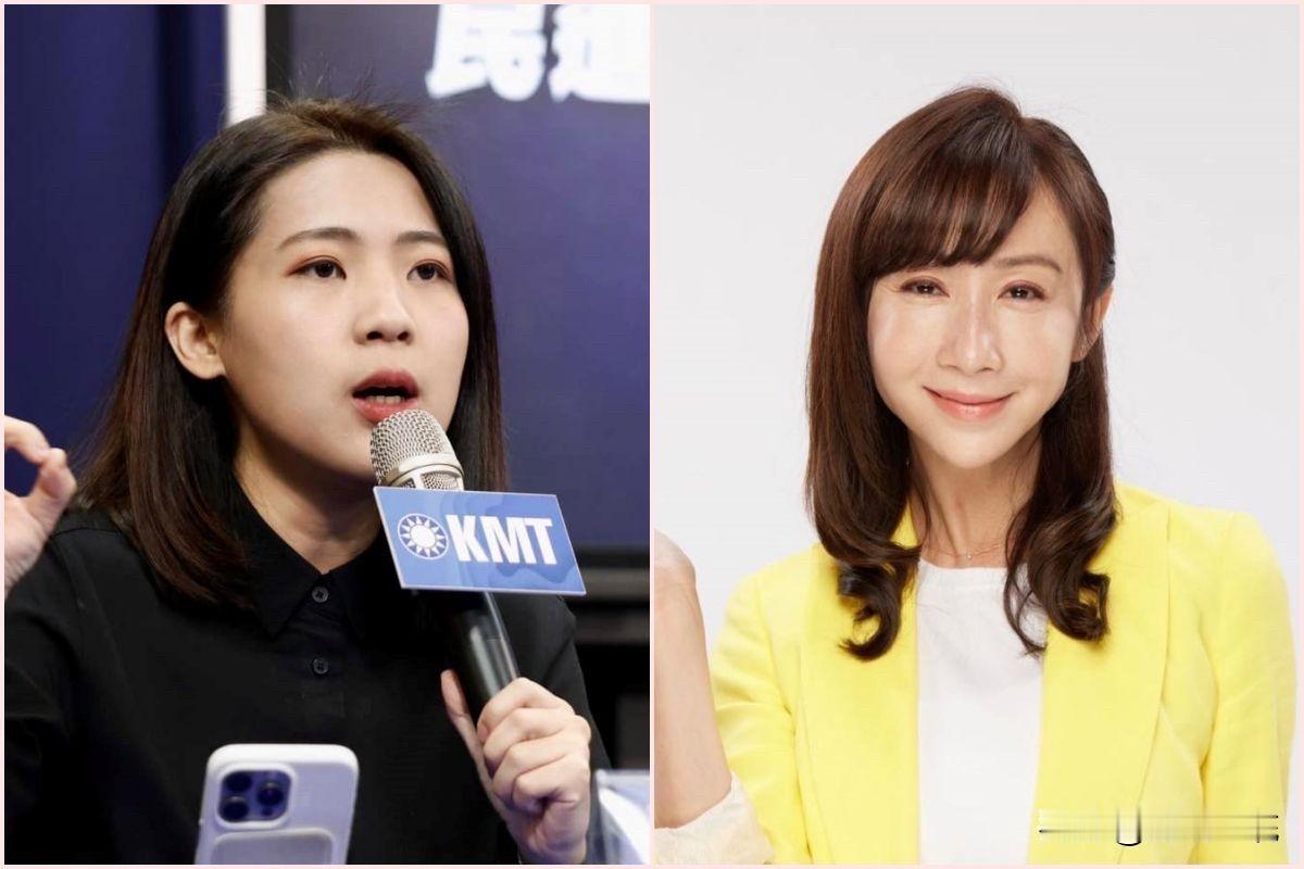 蒋万安称“台湾市市长”遭许淑华攻击徐巧芯反呛：你要选“台湾市议员”？针对