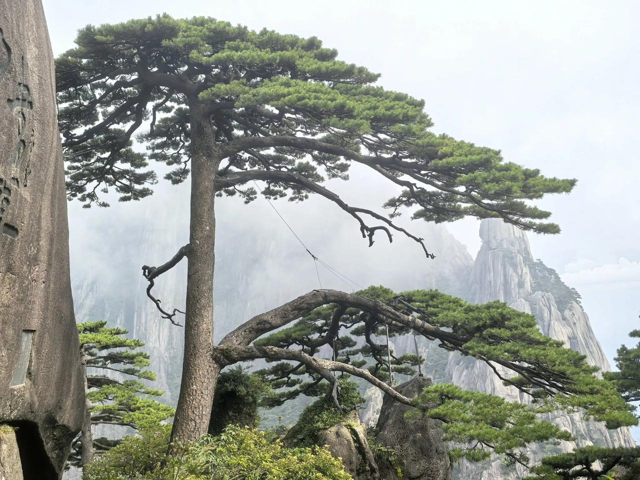 去黄山玩了一趟，还真不便宜，门票190元，索道170元（上下行），网红小火车10