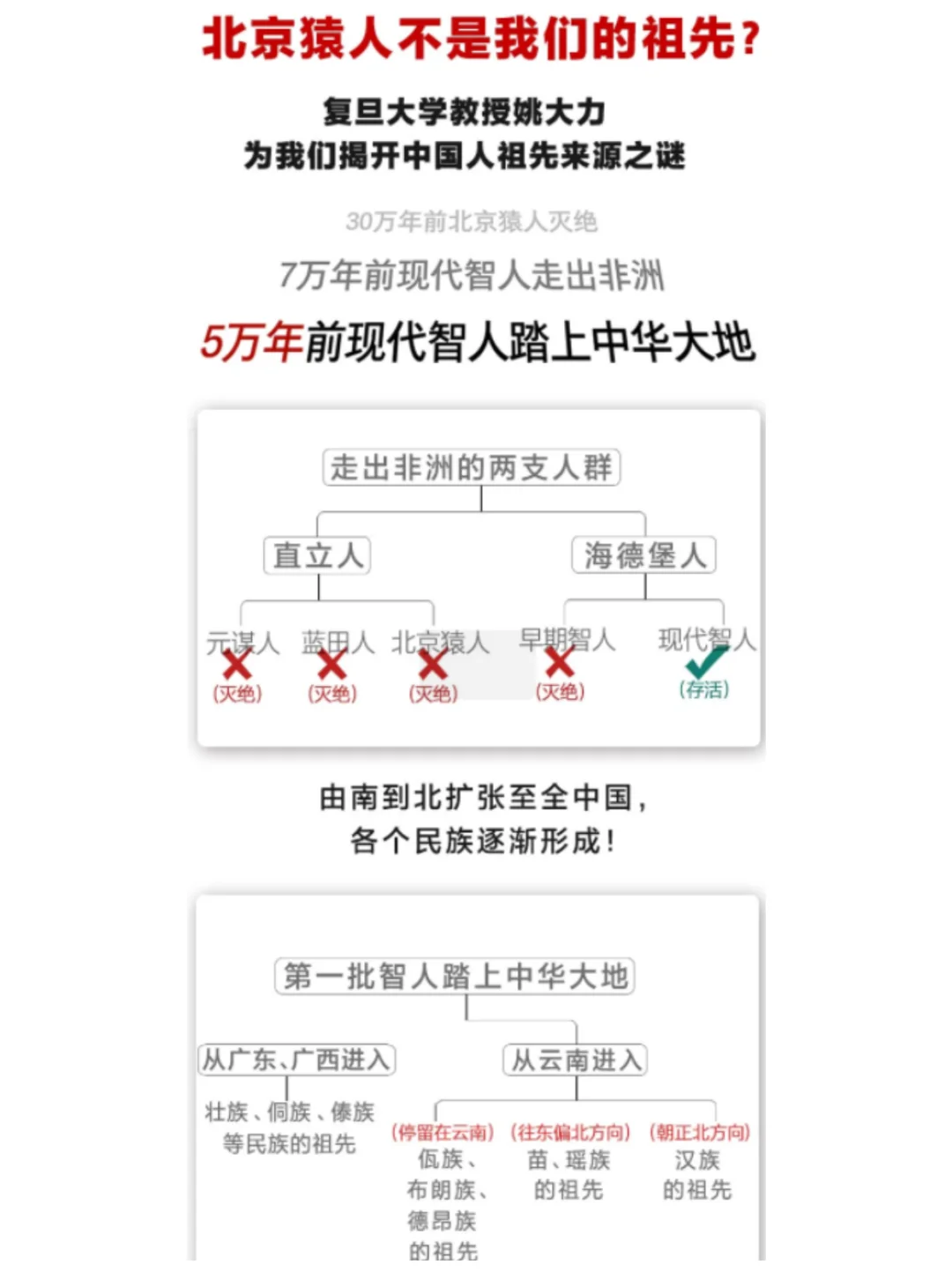 太敢写了吧！北京猿人不是我们的祖先？