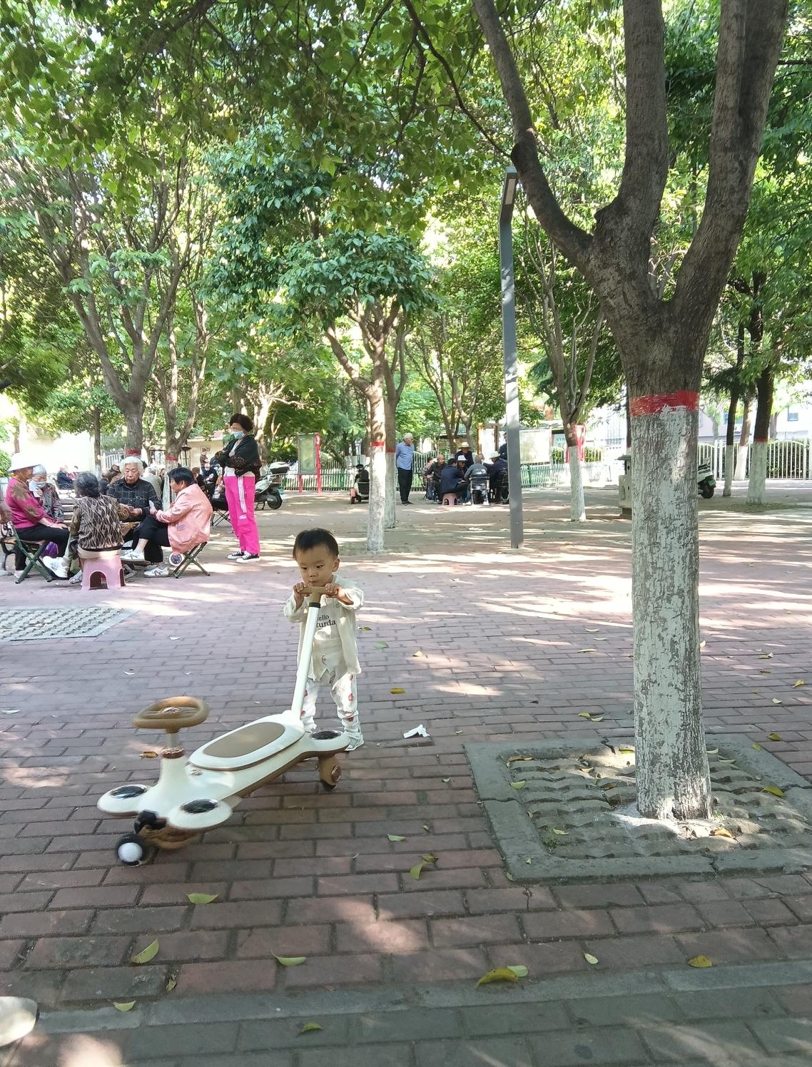 我认为会，说实话，我老了真不排斥住养老院。不是子女不孝顺，是不想给孩子添负担。年
