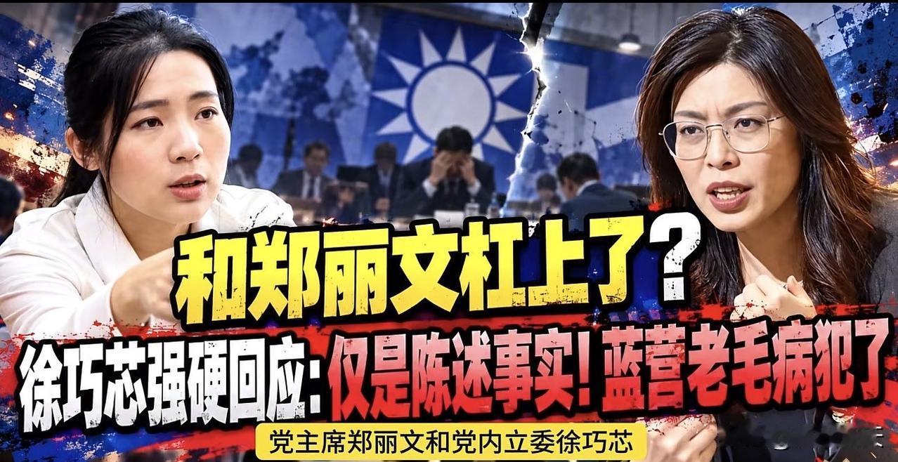 国民党立委徐巧芯此前一直在岛内立法机关扮演着揭弊案的身份，正因为她这个敢于直面挑