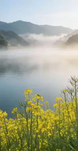 中药说，凡是能让你快乐的，都是你的药。前几天翻到这句话，突然就愣住了。想