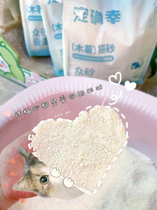 猫砂界的白月光