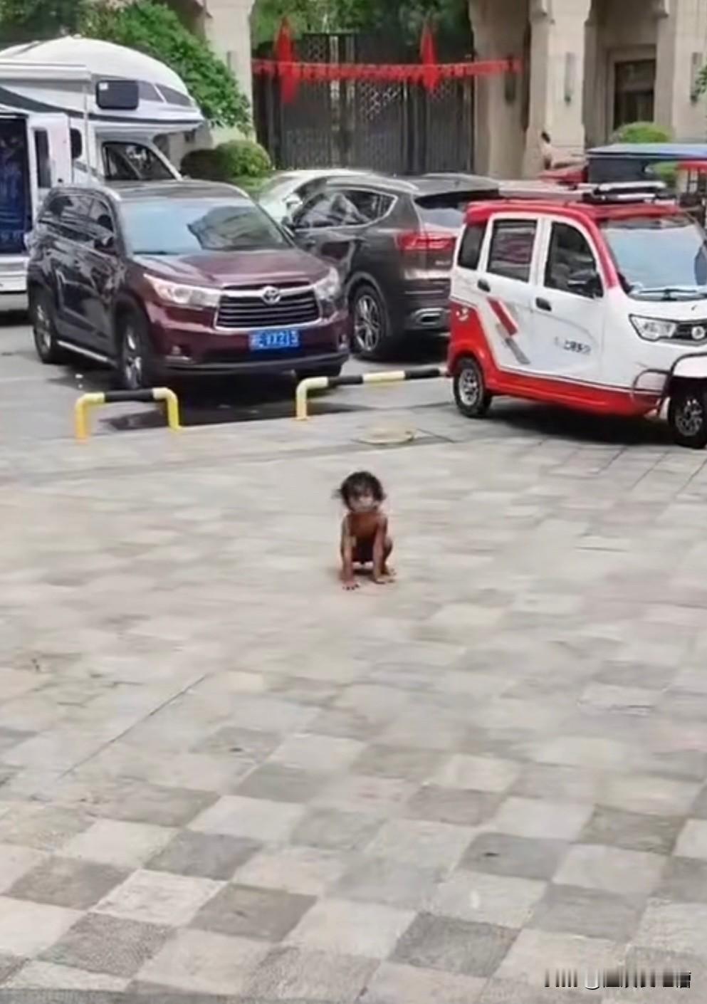 这一幕，看的人后背发凉。我问做了幼师的母亲，孩子这样正常吗？她非常心痛的告诉