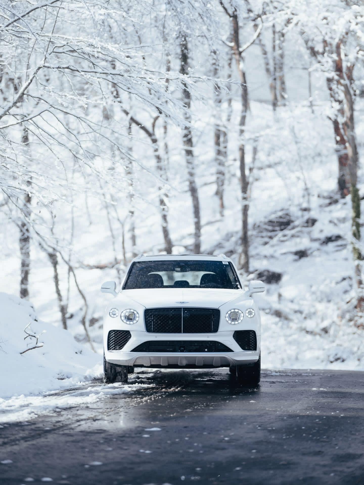 ❄️❄️❄️白茫茫一片🤍🤍🤍❄️❄️❄️白色宾利添越