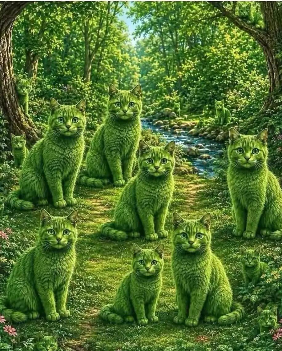 考考你的眼力，你能看到了几只猫