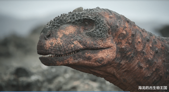 这些年幼的伊希斯龙依旧博冠体育面临诸多危险