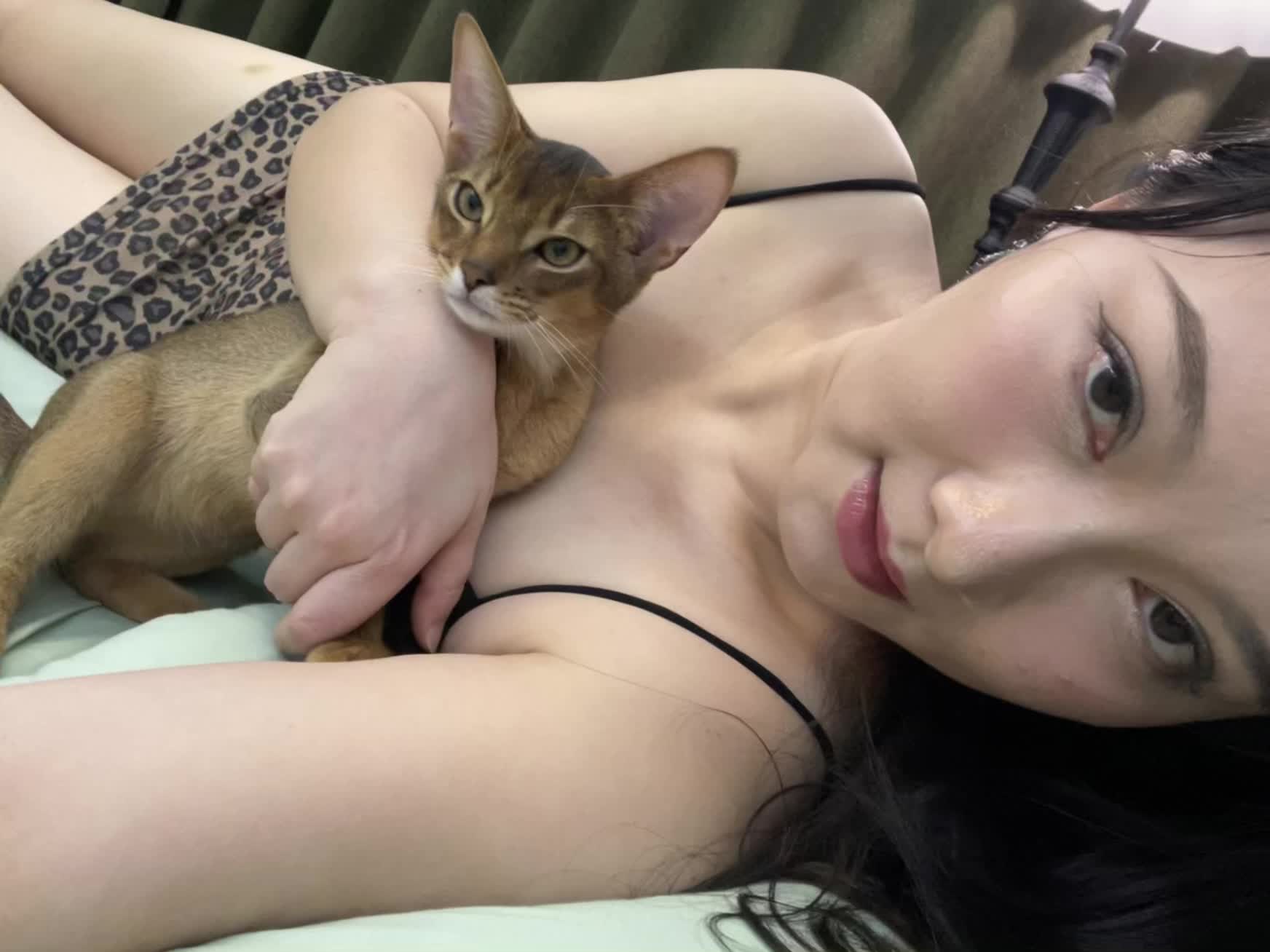 谁能拒绝怀里的小猫咪呢