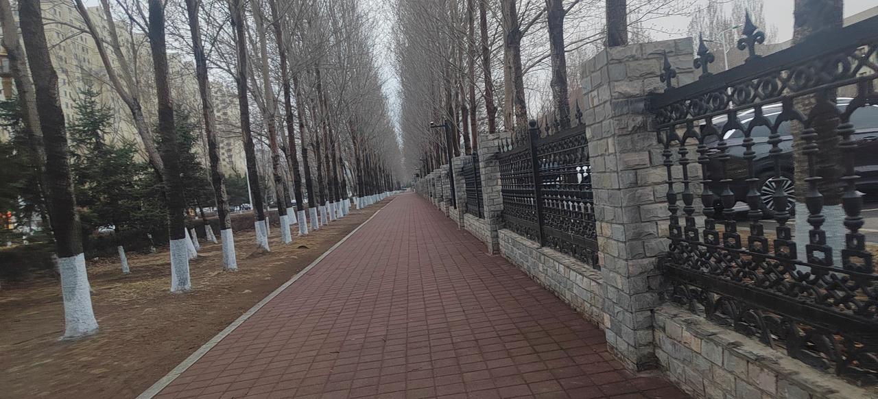 我妹妹昨天来我家，买了一斤大樱桃。我问多少钱一斤，她说：65元。然后妹妹对我