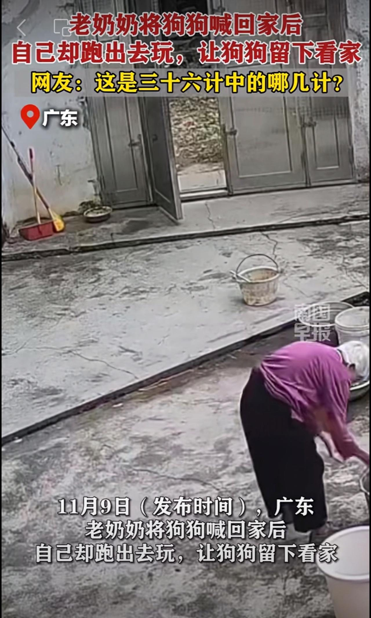老奶奶将狗狗喊回家后，自己却跑出去玩，让狗狗留下看家。网友：这是三十六计中的哪几