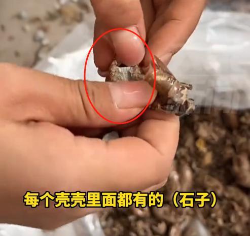 “必须严惩！”7月23日，陕西铜川，女子去乡下收知了壳，见老人生活不容易，她每公