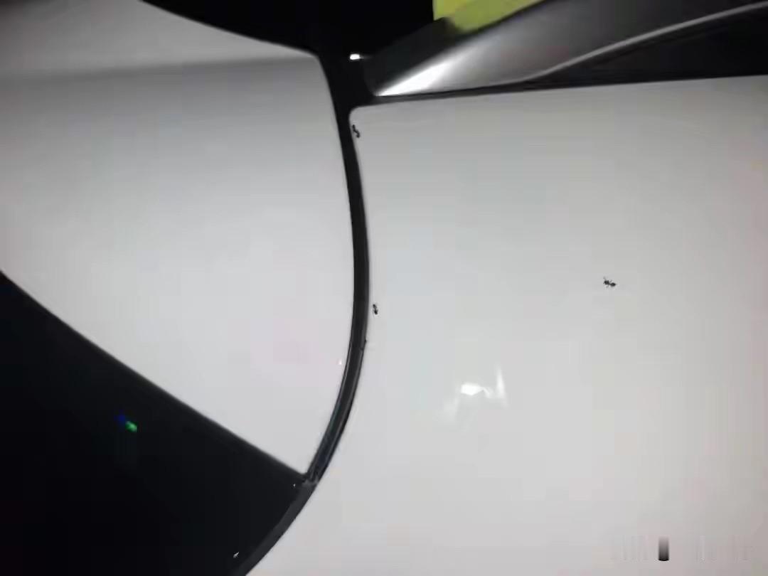 上海，女子提了辆奔驰纯电车，提完第二天，她发现车身缝隙里爬满了蚂蚁。女子鸡皮疙瘩