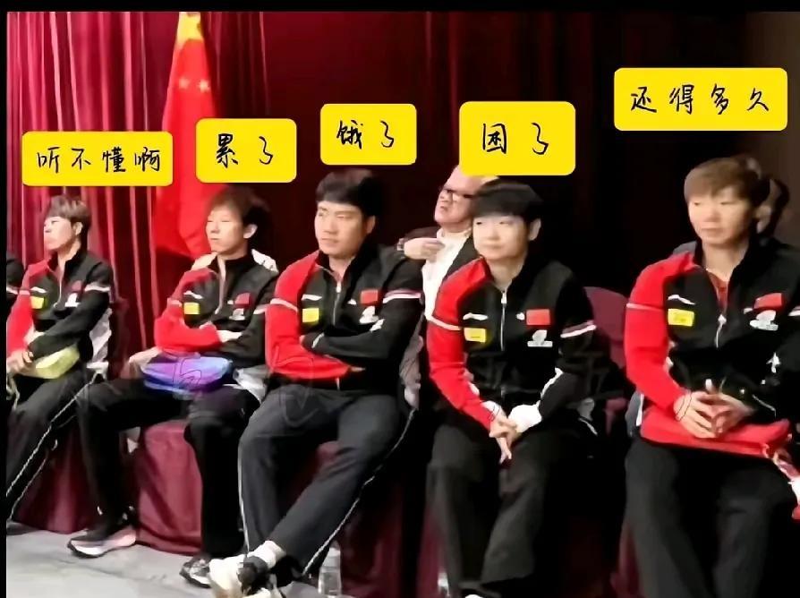 逗死我了，这是谁弄的？这是我们国乒的可爱宝贝呀！每次看到他们的时候，可没有这么