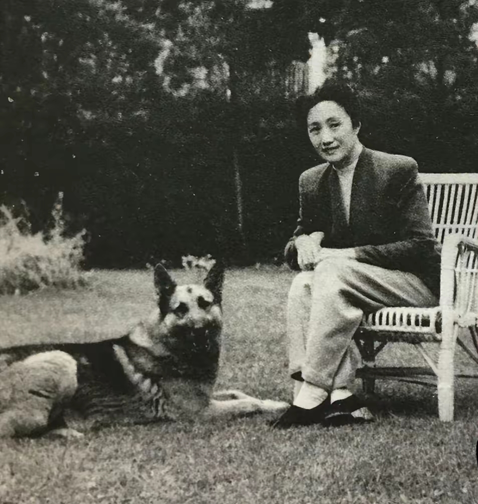 1925年，连生4女的董竹君，为圆丈夫儿子梦，冒死怀第5胎。她肚大肥圆，爱吃辣椒
