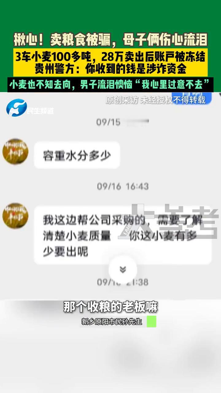 买个粮食都有骗子来骗咱的,真不相信。在网上认一个收粮老板,从我哥这拉到了三车粮食