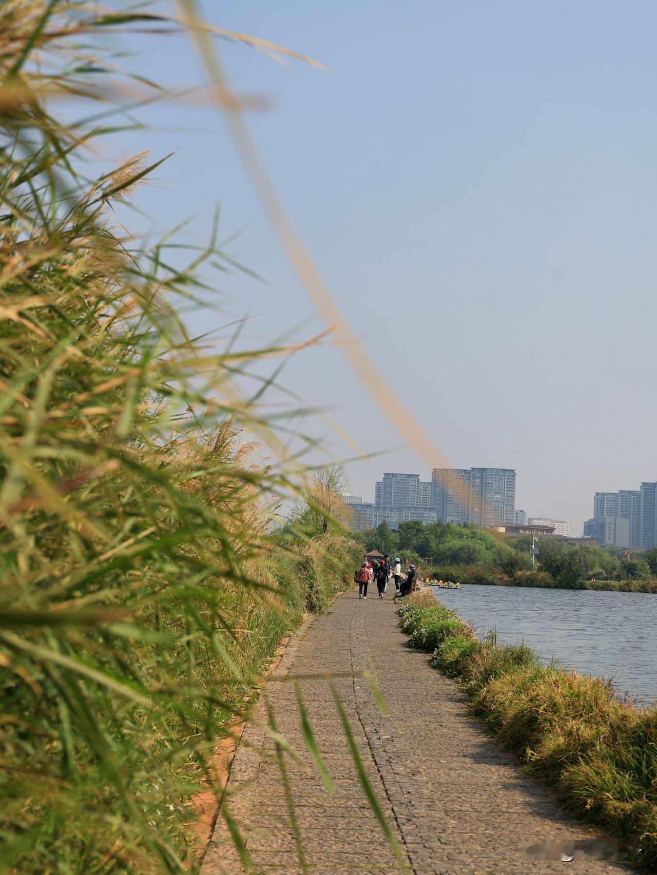 昆明滇池东风坝，从西往东俯瞰，犹如一个“7”字，开合浮桥就连接在东风坝的拐弯处。