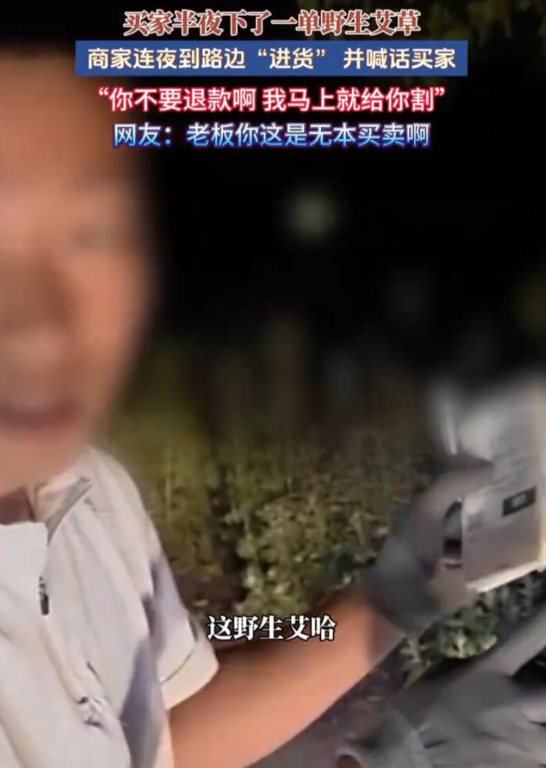 山东，一位艾草商家半夜接到省外订单，连夜奔赴野外现割野生艾草，对着镜头苦苦哀求买