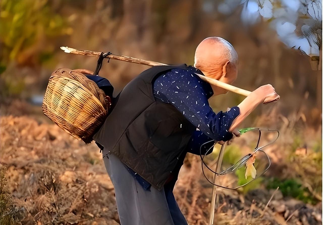 终于有专家说实话了！既无存款，又无退休金，农村老人该怎么办？ 当下中国，老龄