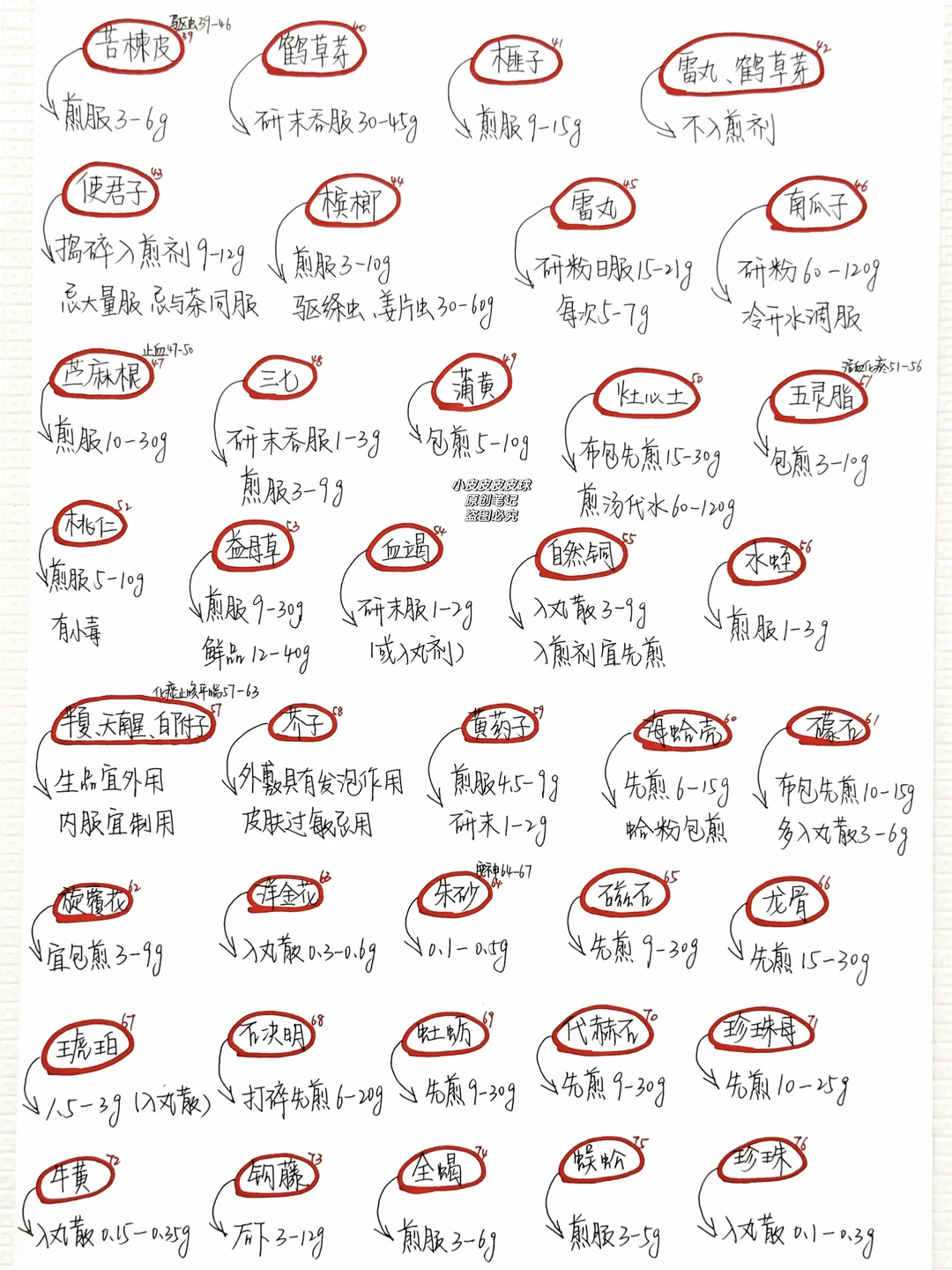 又又又又又又开始背中药了…