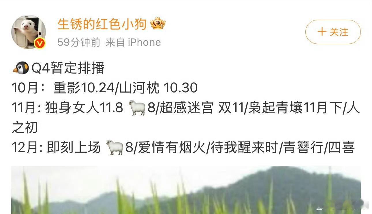 我居然看到杨紫那个青簪行了[思考]​​​