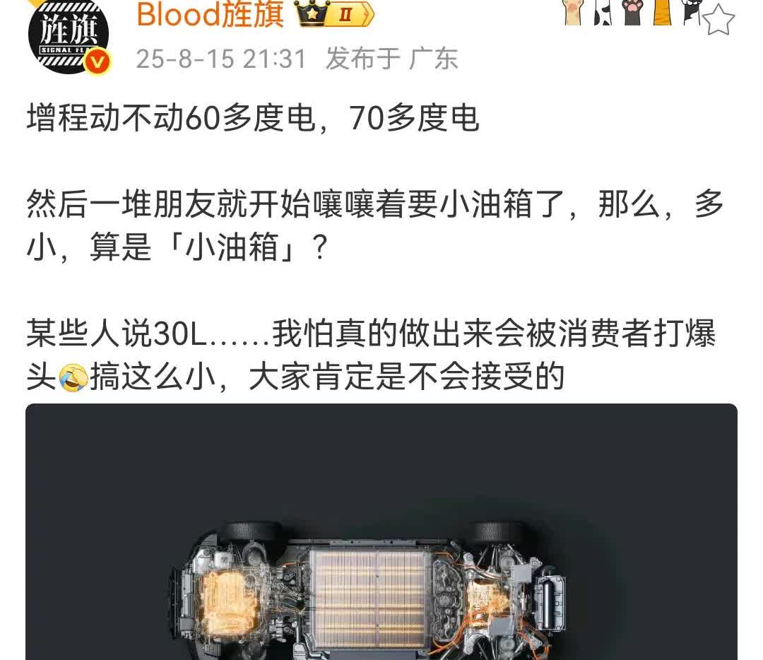 想要增程车，小油箱，大电池的人都是有病！原因在于小油箱并不会节约空间节约重量