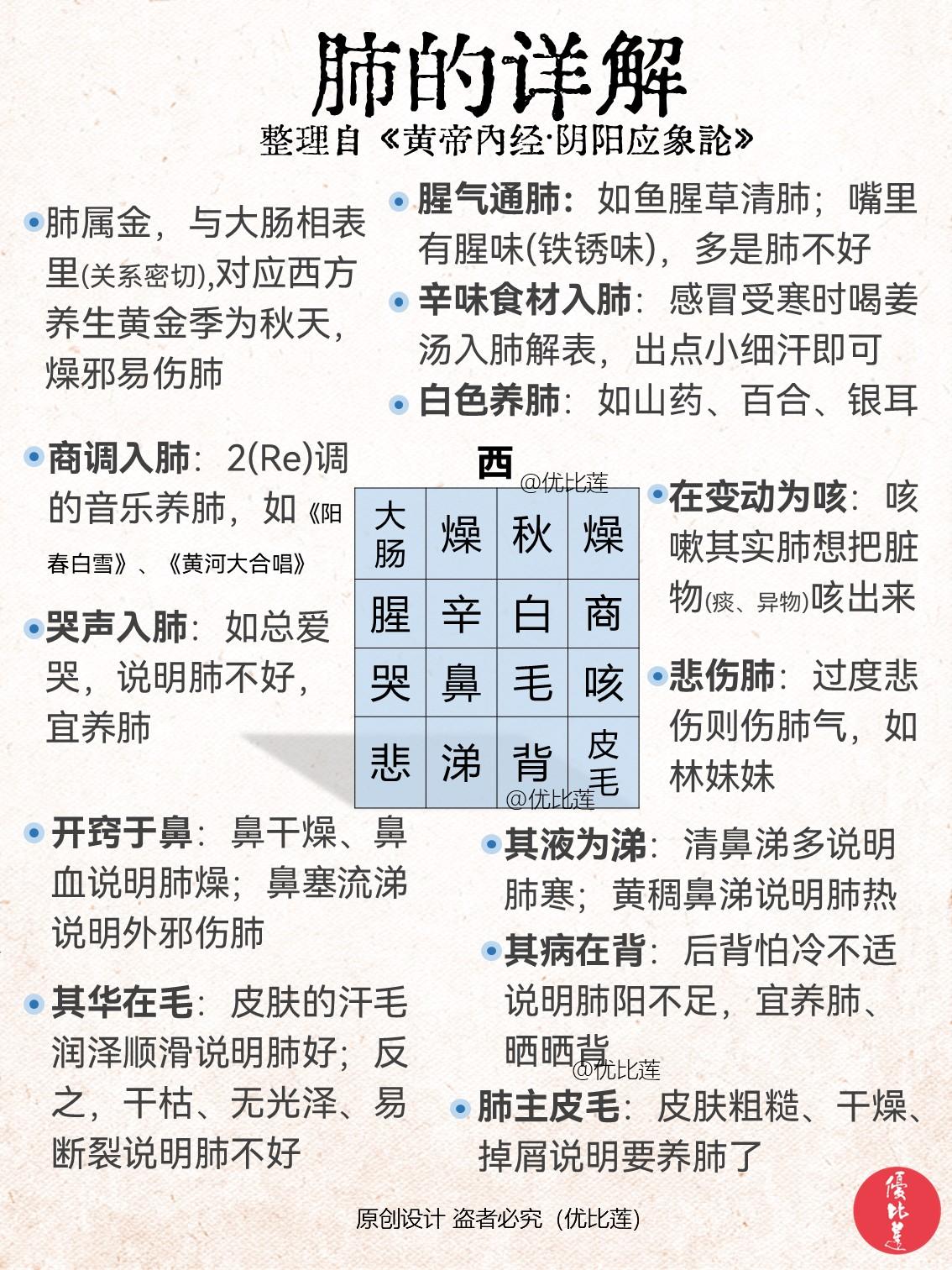 读懂《黄帝内经》一图看懂肺的详解整理自《黄帝内经·金匮真言论论》、《黄帝内