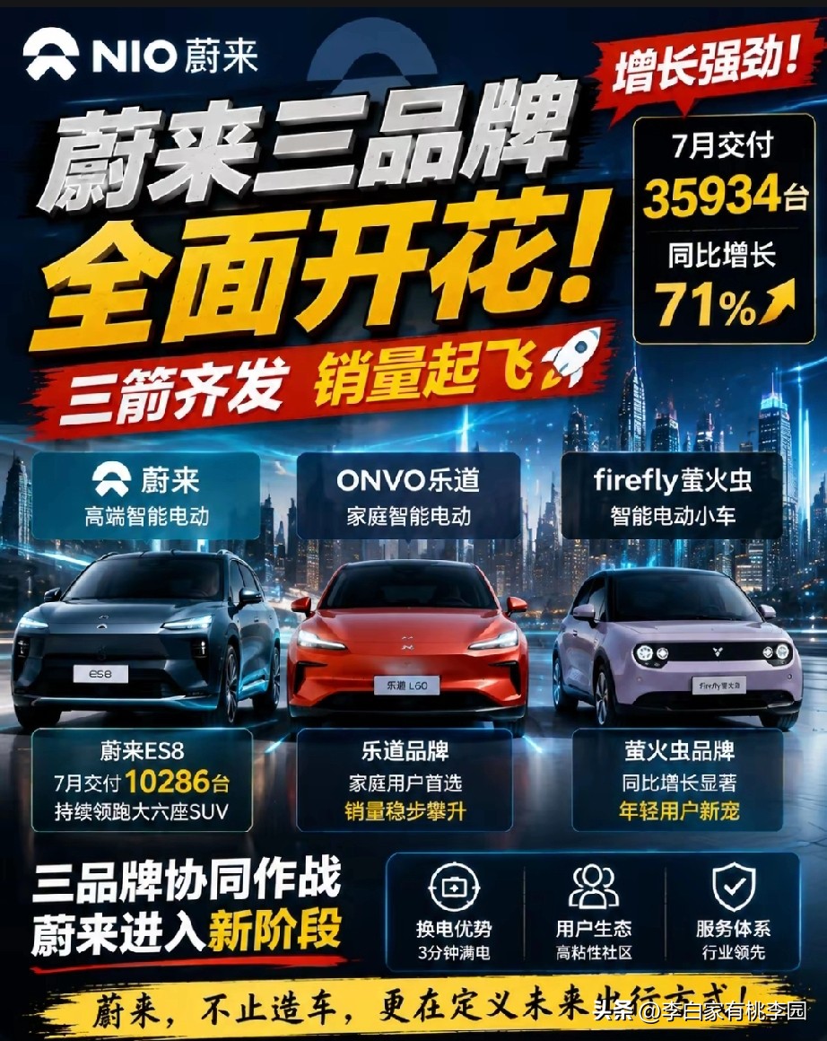 蔚来一口气铺三个品牌，目标很明确：守住高端底盘，向下抢市场如何看待蔚来布局三个品牌蔚来主打高端，乐道