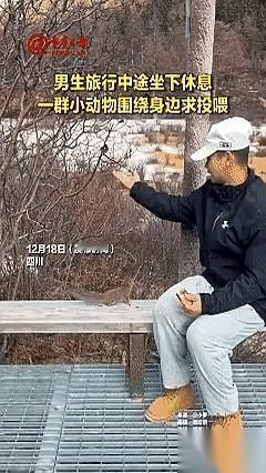 笑死，四川那个哥们儿，我看他这回是解释不清了。就因为坐下来歇口气，随手喂了只松