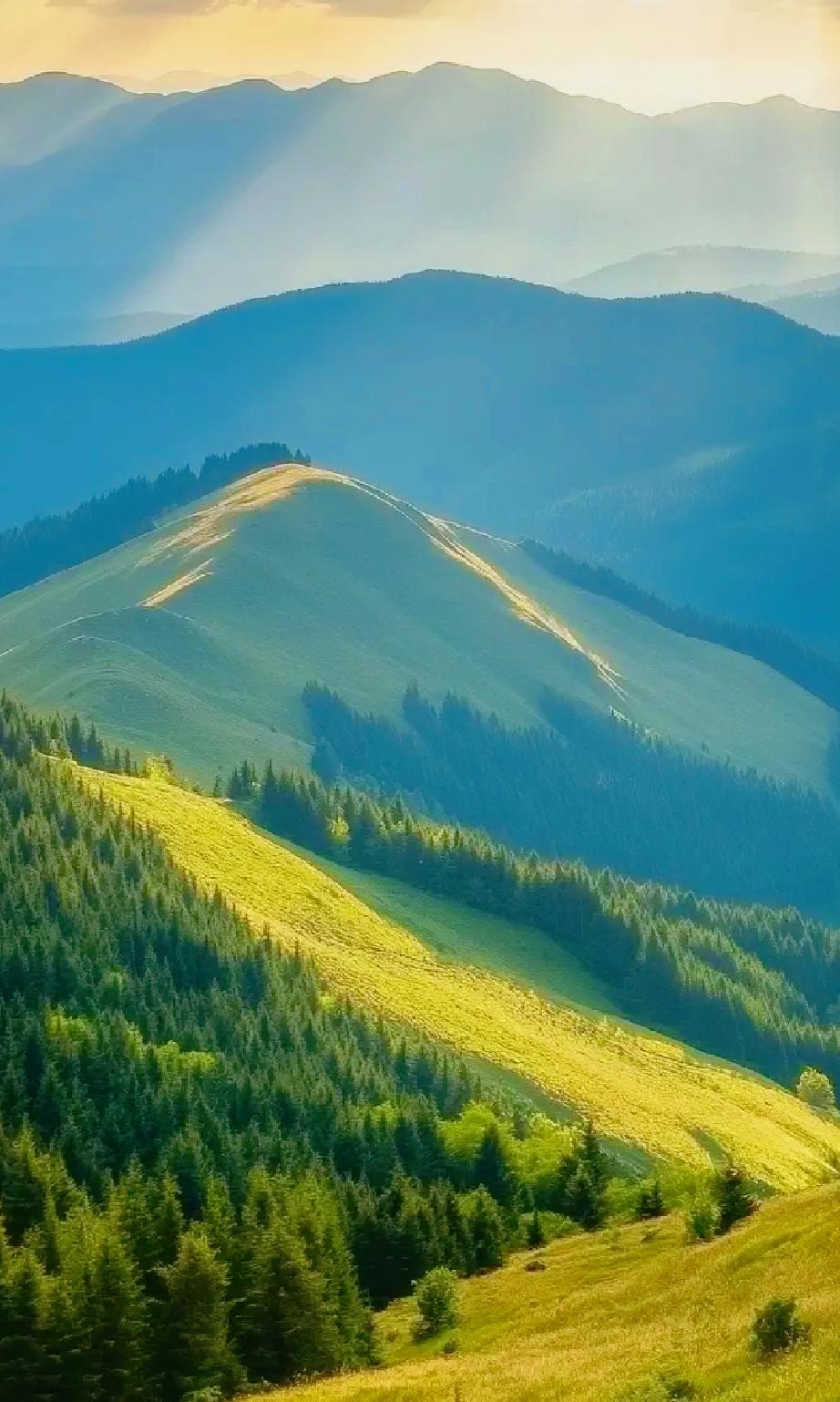 今晚上刷到了一个视频“我姑父是个律师，经手最多的就是离婚的案子。他最大的爱好