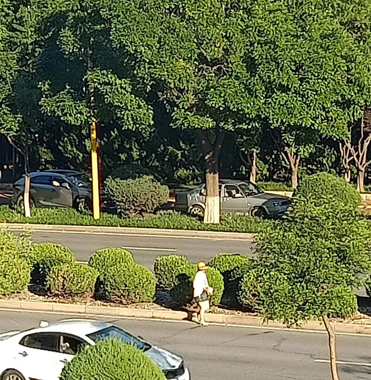 真是太任性了，估计是小两口或者是恋人，在车里吵架了，然后坚决要下车，开车的男