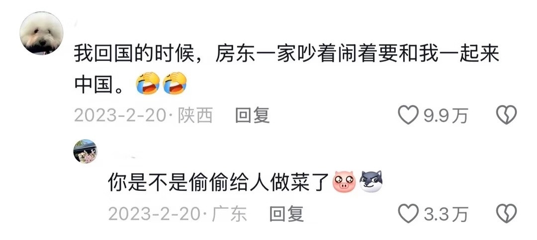 留子的狠人行为给我笑崩溃了