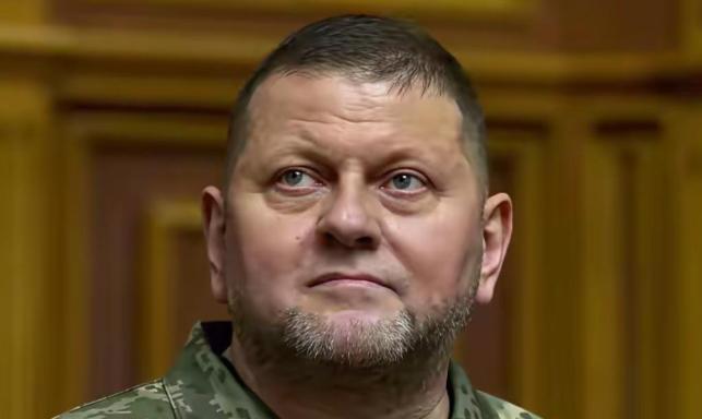 仗打完了，事就完了？乌克兰前总司令扎卢日内最近发出警告：等俄乌冲突一结束，乌克兰