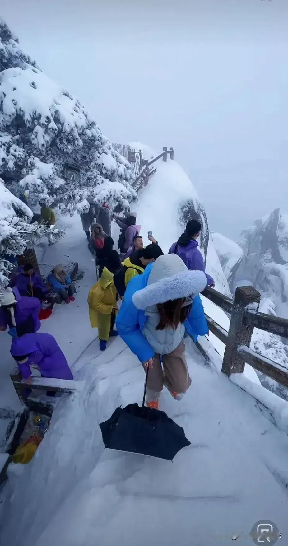 你们见过雪中的黄山吗？黄山下雪了，都说黄山归来不看山，雪中的黄山更加俊美壮丽。昨