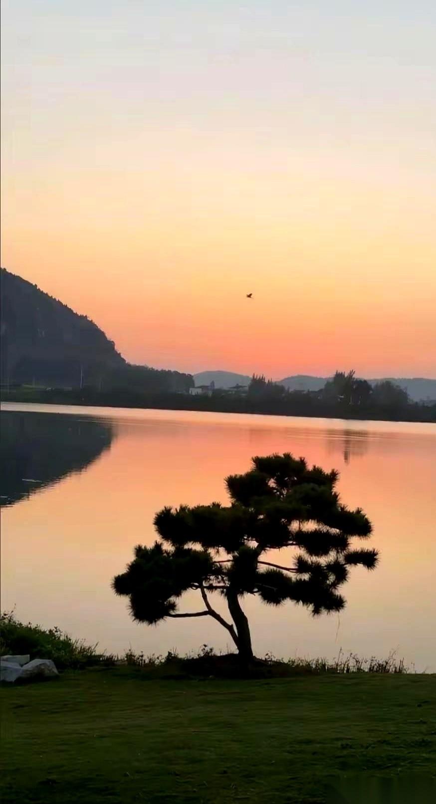 真的，有没有退休金，一个老人身上那股“气儿”是完全不一样的。一个是挺着腰杆，一