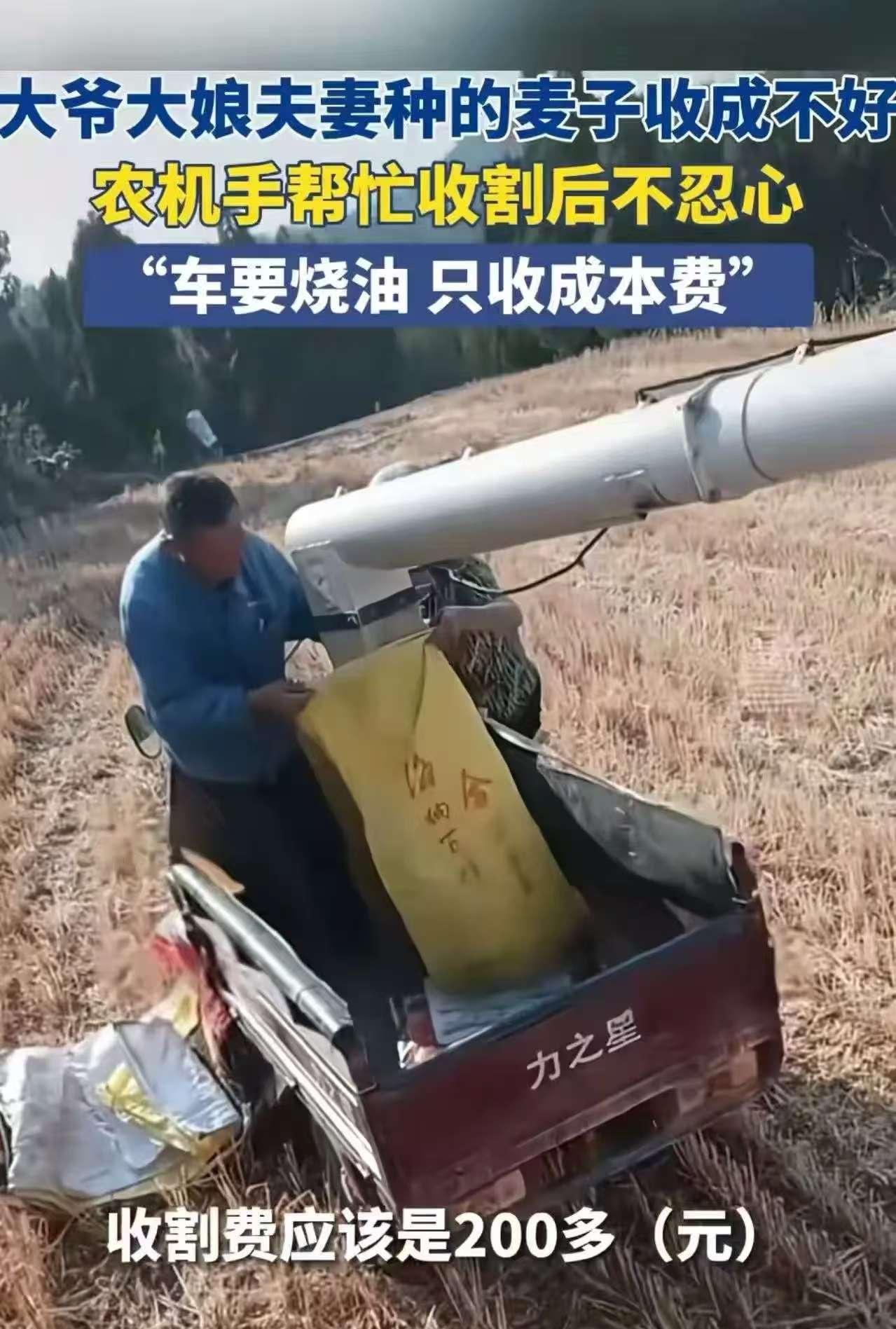 令人心酸！5月27日，河南济源，男子开收割机帮一对老农户收割麦子，可是割完三亩地