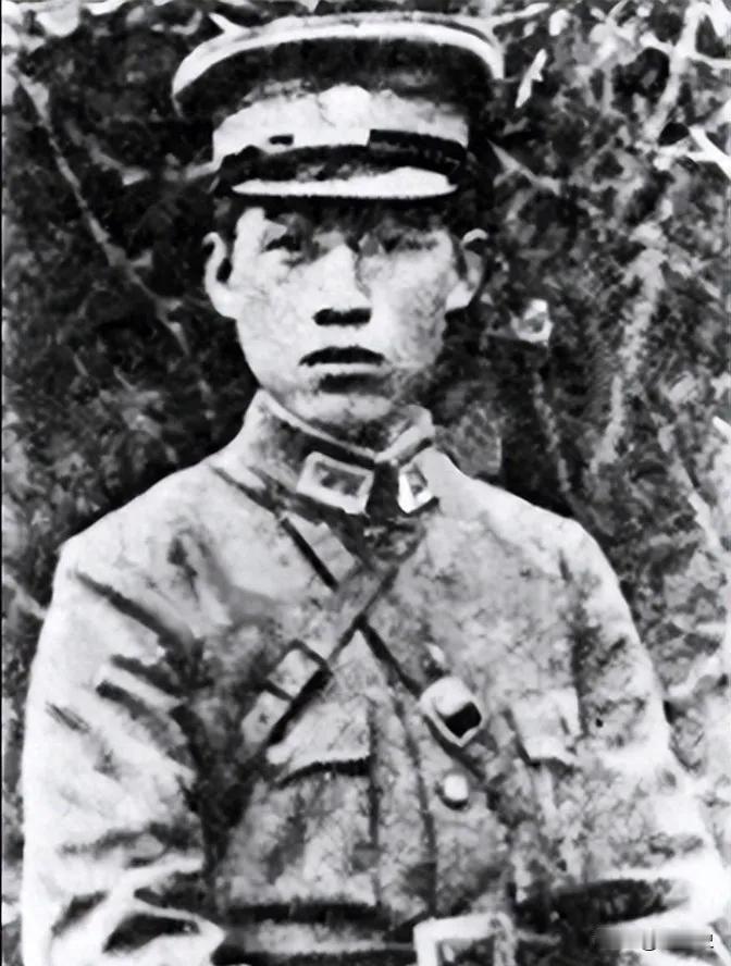1938年7月，国军少将张岚峰率部投日。不久后他的弟弟张俊峰和日军发生纠纷，被日
