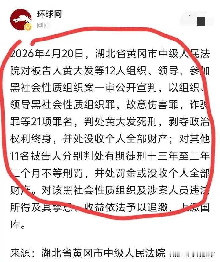 现实版狂飙！比高启强更狂！武汉黄大发判死刑，横行30年终落网比电视剧更敢拍