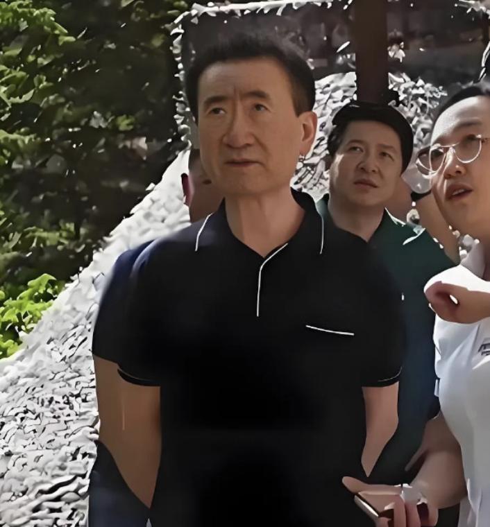 内忧外患的企业家，王健林的债务还没有还清，宗馥莉遭遇叔父背刺。宗泽后声称杜建英