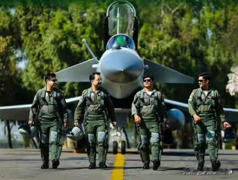 当你真正了解了巴基斯坦军方是一股团独立的政治势力之后。后面的问题就迎刃而解了。