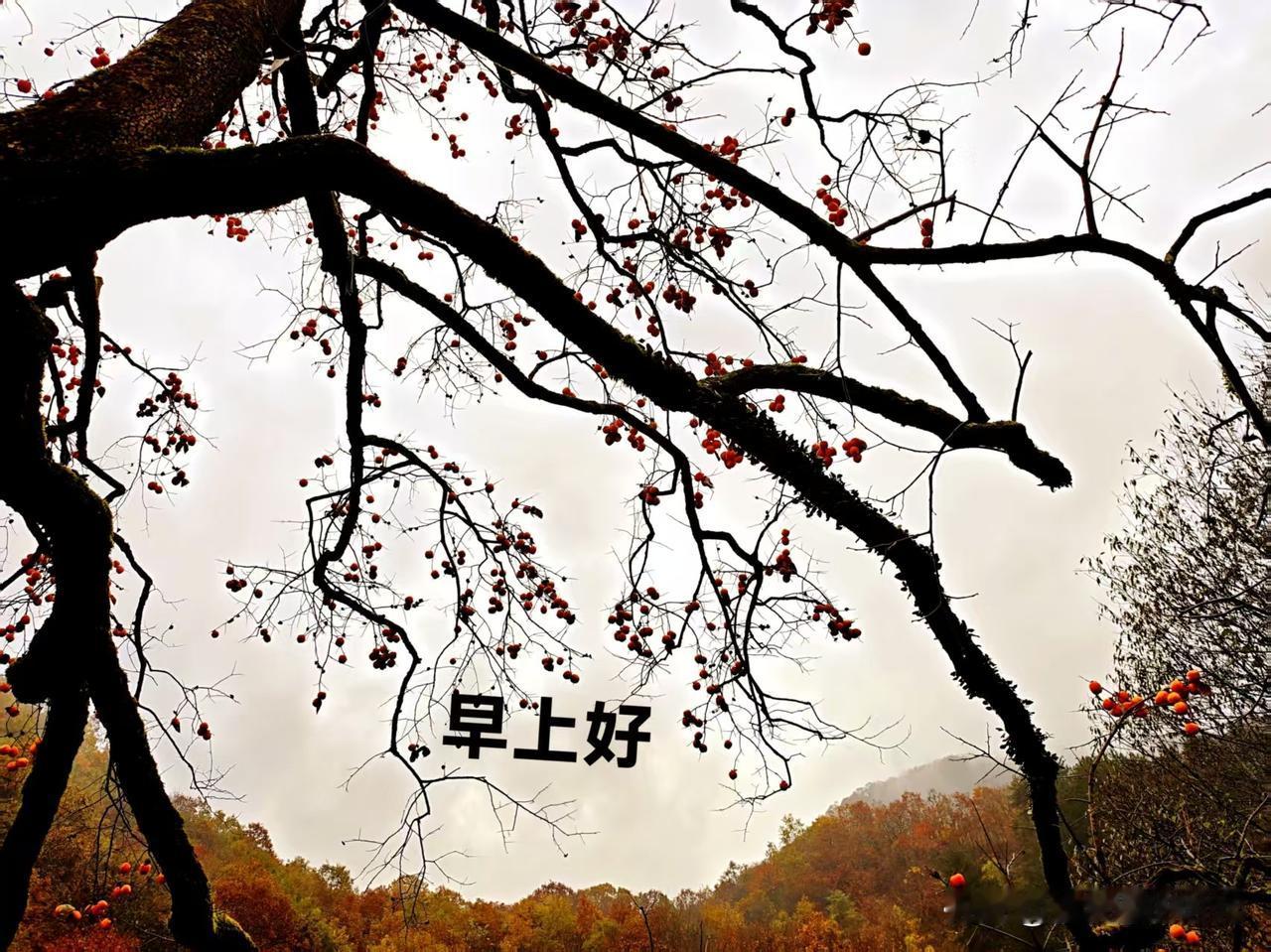 自从闲居家中，闲来无事，每日抄写一首古诗词，真是读古诗词上了瘾，一天不读心里慌。