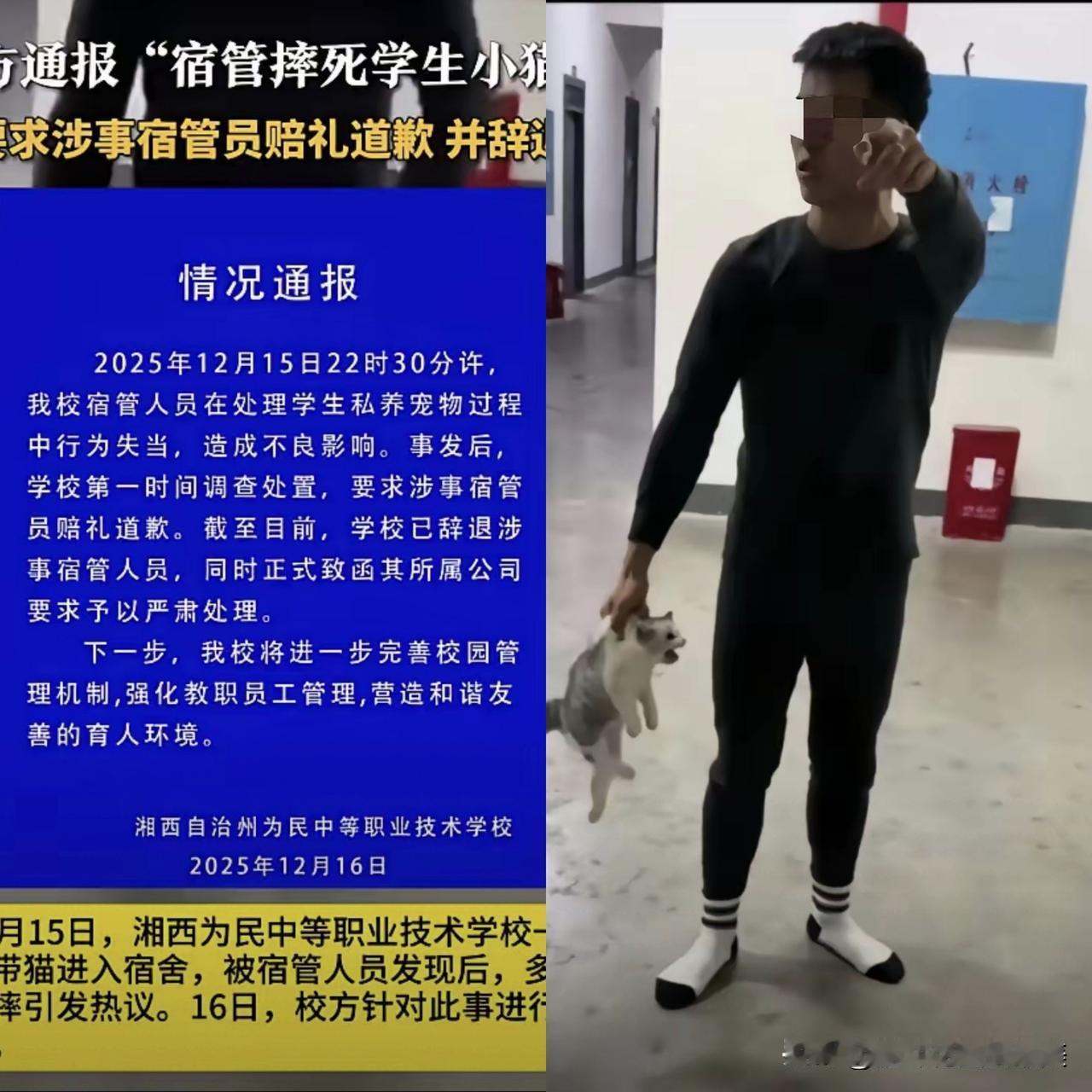 其实教官摔猫这件事，我专门去查了一下，如果当时都换位思考一下子，也就