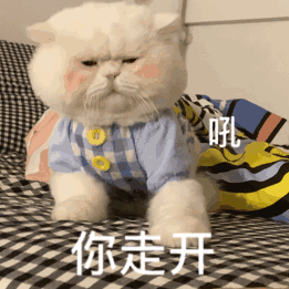 越处越上头的星座：金牛：慢热慢入，日久才见真心，后劲超大天蝎：初看有距离，交心之