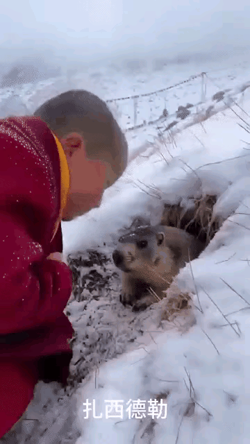 爱心会化解恐惧和敌意