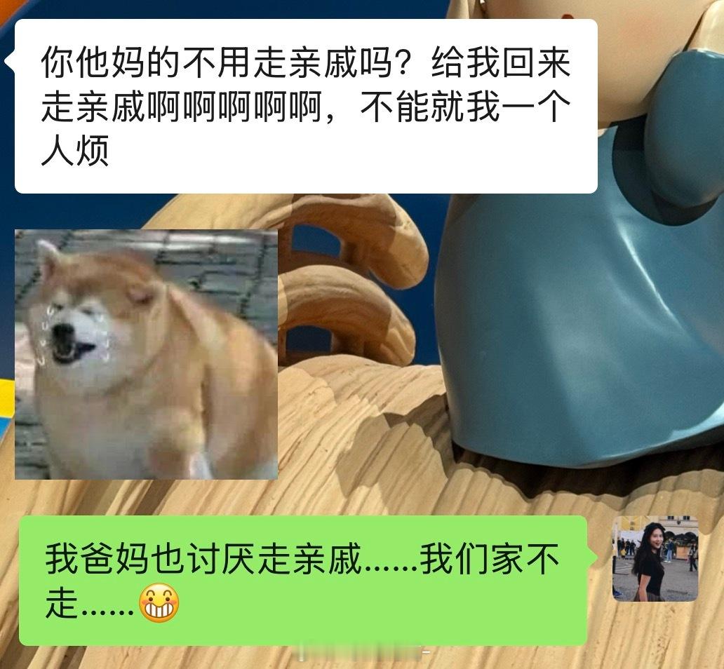 我从小到大，从我有记忆开始就不知道什么叫走亲戚哈哈哈哈哈哈大家都是家庭群里发红包